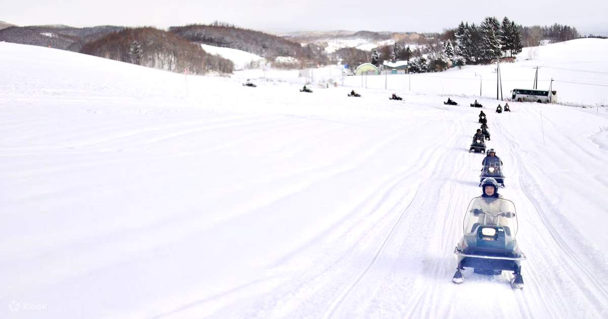 Winter Hokkaido | Asahiyama Zoo & Shikisai-no-oka & Blue Pond